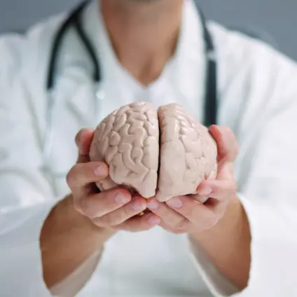 Doctor holding a model of the brain in their outstretched hands