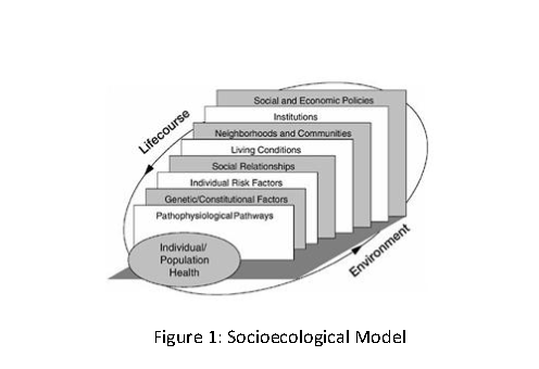 education and health research questions