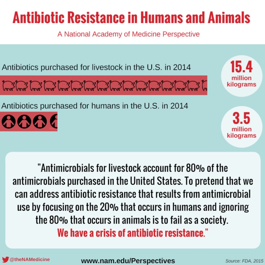 linking antibiotic resistance to klenow fragment