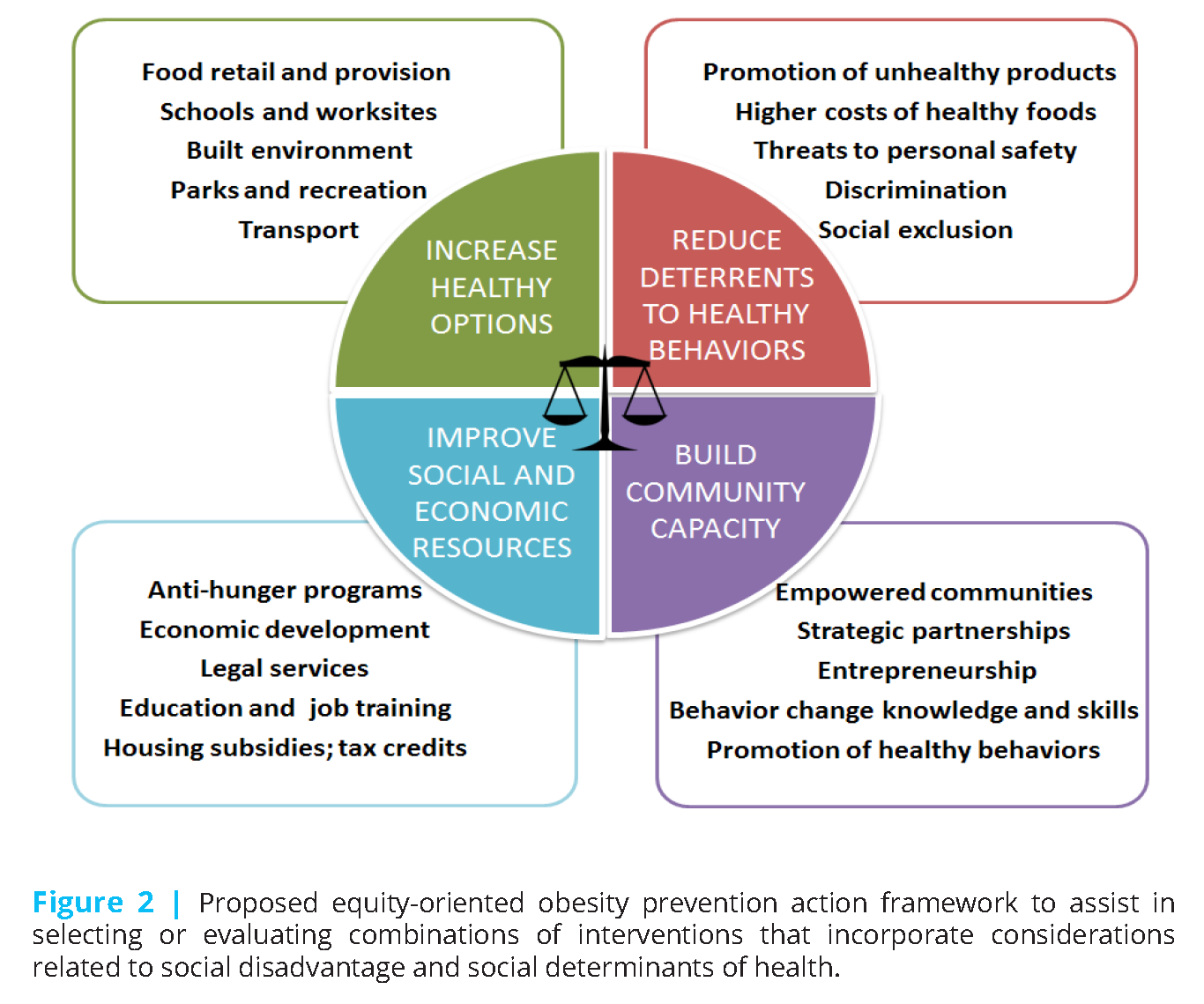 Anti-obesity education