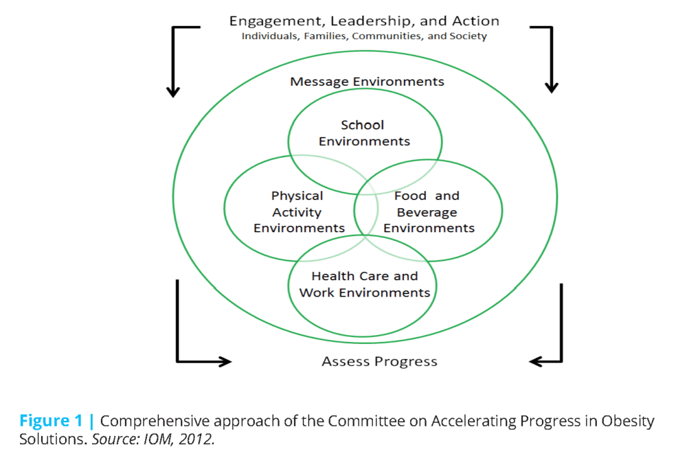 Getting to Equity in Obesity Prevention: A New Framework - NAM