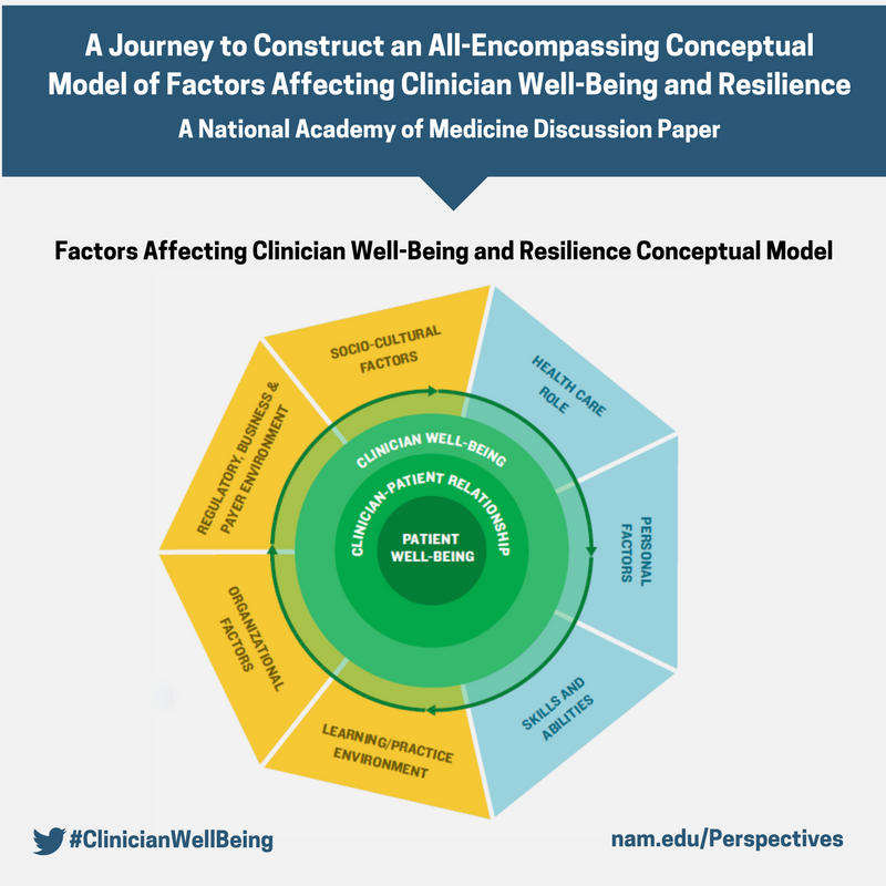 A Journey to Construct an All-Encompassing Conceptual Model of Factors  Affecting Clinician Well-Being and Resilience - National Academy of Medicine