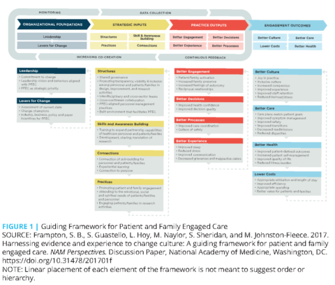 Patient and Family Engaged Care: An Essential Element of Health Equity ...